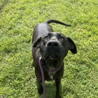 Photo of Phy (Phoebe Buffay)