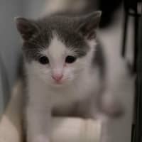 Photo of 💙 Concrete 🤍