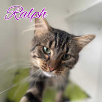 Photo of Ralph
