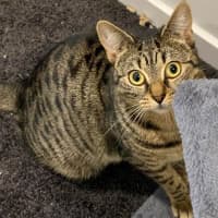 Photo of Holly