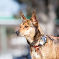 Photo of Milly Milly