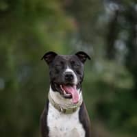 Photo of Tyson