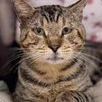 Photo of Bruce Wayne