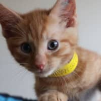 Photo of Stanley