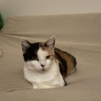 Photo of Margo (With Josie)