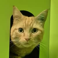 Photo of Philip J Fry 