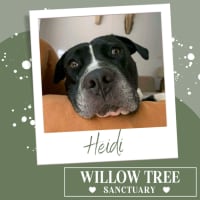 Photo of Heidi