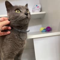 Photo of Freya (8799)