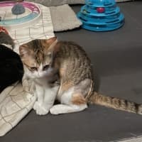 Photo of Lucyloo
