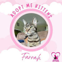 Photo of Farrah