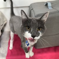 Photo of Principal Flutie 