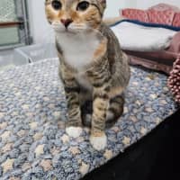Photo of Pretty Girl