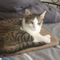 Photo of Missy & Sonny 🌺💙