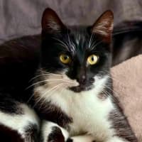 Photo of Pawla