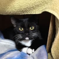 Photo of Rocket