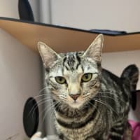 Photo of Coco