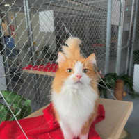 Photo of Snuggles Allbright