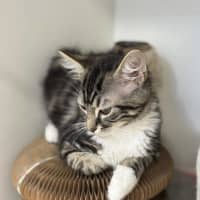 Photo of Timmy