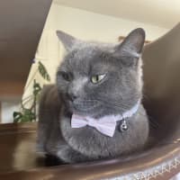 Photo of 💖 Coco 👑