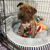 Photo of Tank
