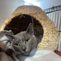 Photo of Ash