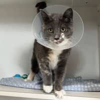 Photo of Snugglepot