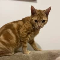 Photo of Gigi   Located In Frankston