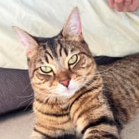 Photo of Rosie