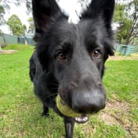Photo of Roxy