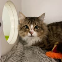 Photo of 🧭 Elijah 5198 🧭