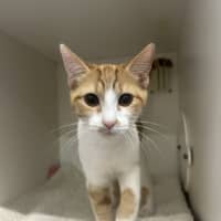 Photo of Samwise
