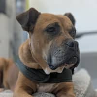 Photo of 💅 Lexi 6188 💅