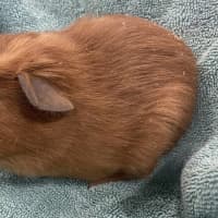 Photo of Arthur