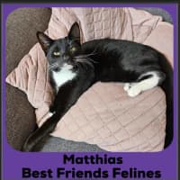 Photo of Matthias