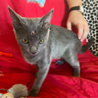 Photo of Alvin