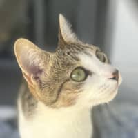 Photo of Susie Q