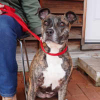Photo of Della