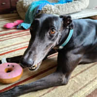 Photo of Cindy