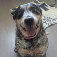 Photo of Maggie