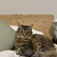 Photo of Leo