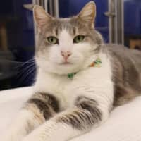 Photo of Max