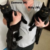 Photo of Billy And Zamora