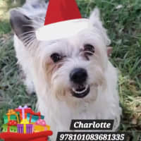 Photo of Butterball And Charlotte