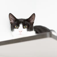 Photo of Luke Sky Walker