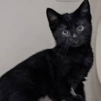 Photo of Luna