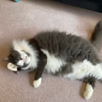 Photo of Barney And Wynstan