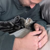 Photo of Skylar   Located In Pascoe Vale 