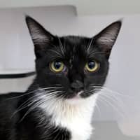 Photo of Emma Stk013179 & Freddie Stk013181