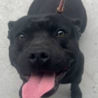 Photo of Cherry Licious Soda Pop