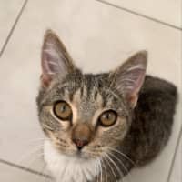 Photo of Mia